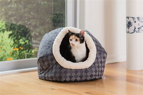 Walmart cat bed - The Vibrant Life 19" Oval Woven Rope Cat Bed Basket is built for the most pleasant snooze a cat can get. That’s because the basket is woven from high-quality cotton rope, which acts as a thermal layer to hold your pet’s body heat for a more even sleeping temp throughout the night (or day)! 